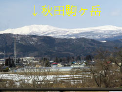 秋田駒ヶ岳