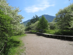 戦場ヶ原