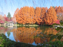 中央公園