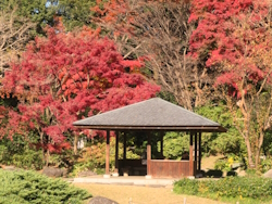 中央公園