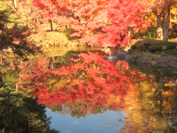 中央公園
