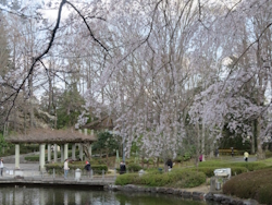 中央公園