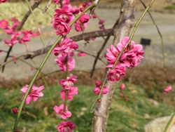 �V�_���E��