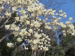 �n�N���N����