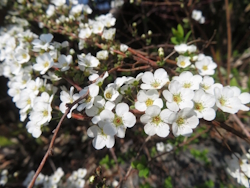 ���L���i�M