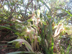 �V��������