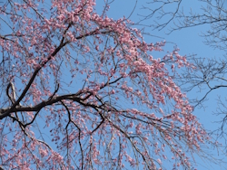 �V�_���U�N��