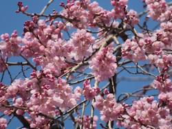 �V�_���U�N��