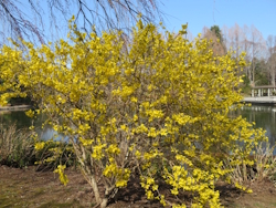 �����M���E