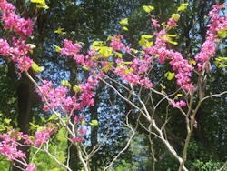 �n�i�Y�I�E