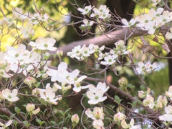 �n�i�~�Y�L