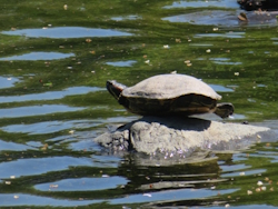 �b������