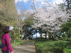 �\���C���V�m