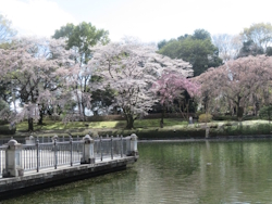 �\���C���V�m