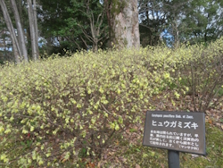 �q���E�K�~�Y�L