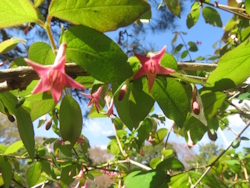 �E�O�C�X�J�Y��