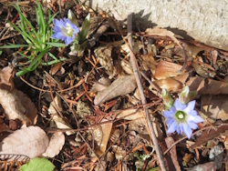 �n�������h�E