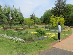 わんぱく公園