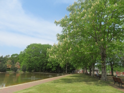 わんぱく公園