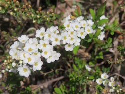 ���L���i�M