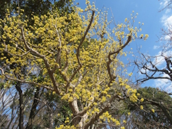 �T���V����