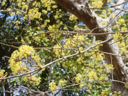 �T���V����